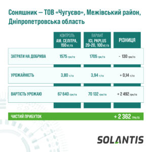 Соняшник тов чугуєво, межівський район, дніпропетровська область