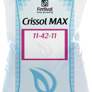 Изображение — crissol 11 42 11 Crissol 11 42 11