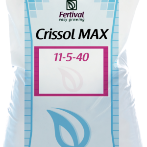 crissol 11 5 40 crissol 11 5 40